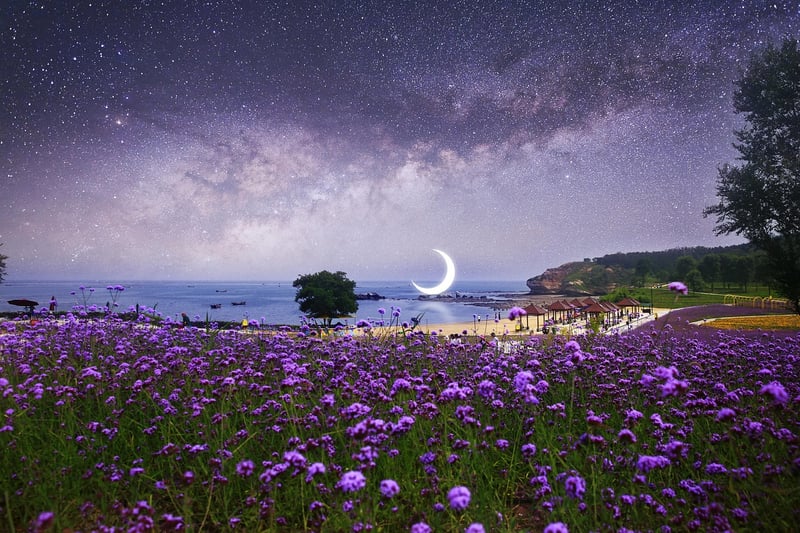 Sun and Moon Delights